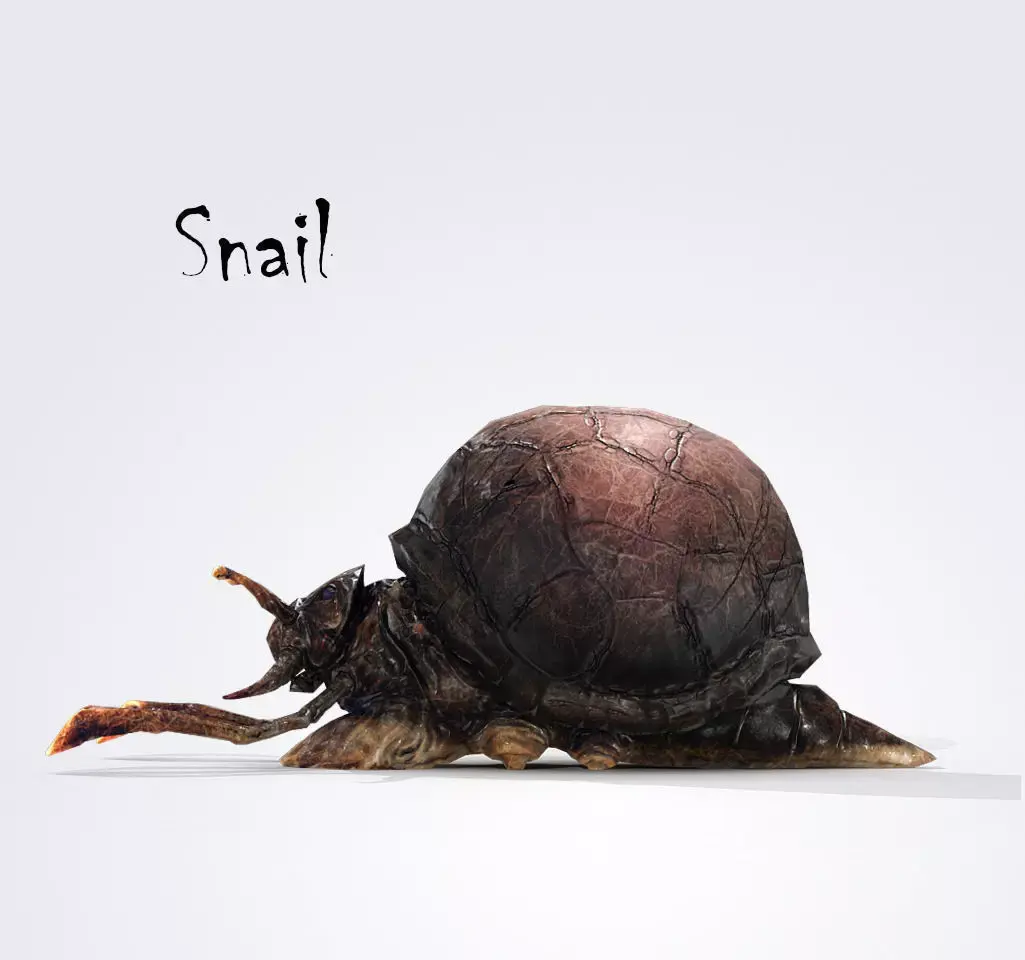 Snail Low-poly 3D model order