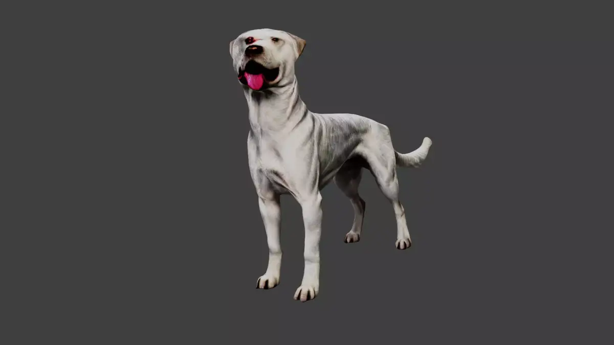 Dog Animal Low-poly 3D model order