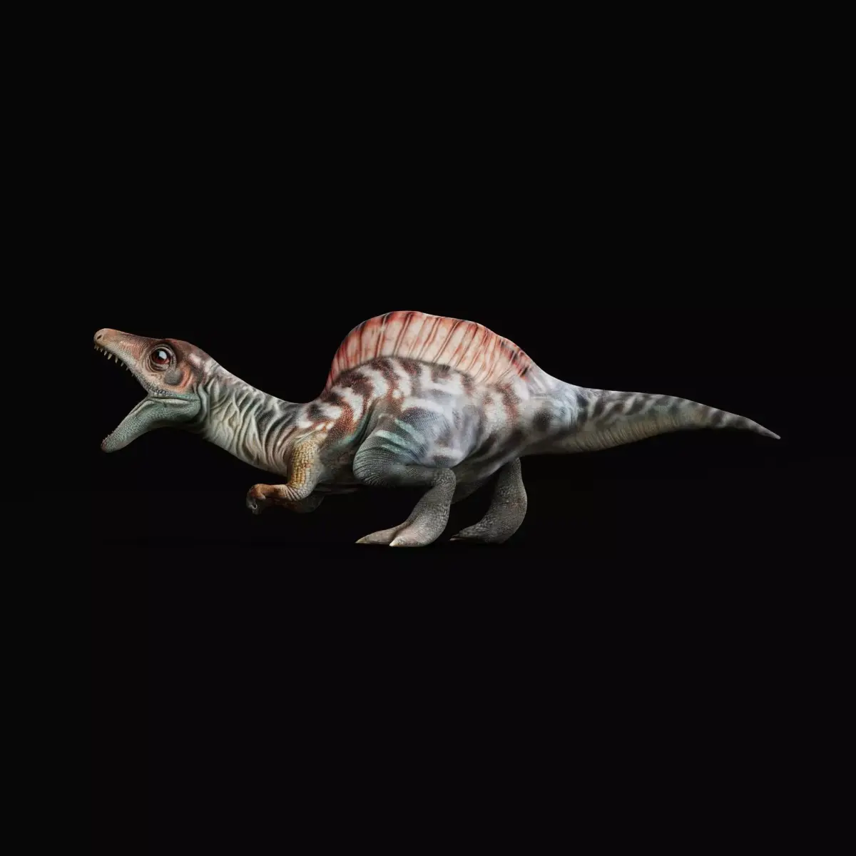 Spinosaurus Baby Dinosaur Low-poly 3D model
