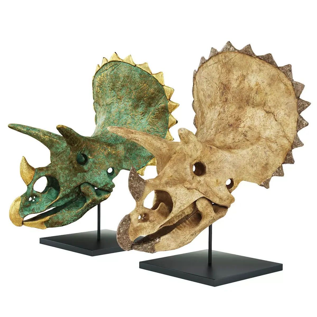 Triceratops skull 3D model purchase