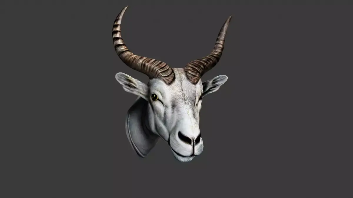 Deer Animal Head Low-poly 3D model 11