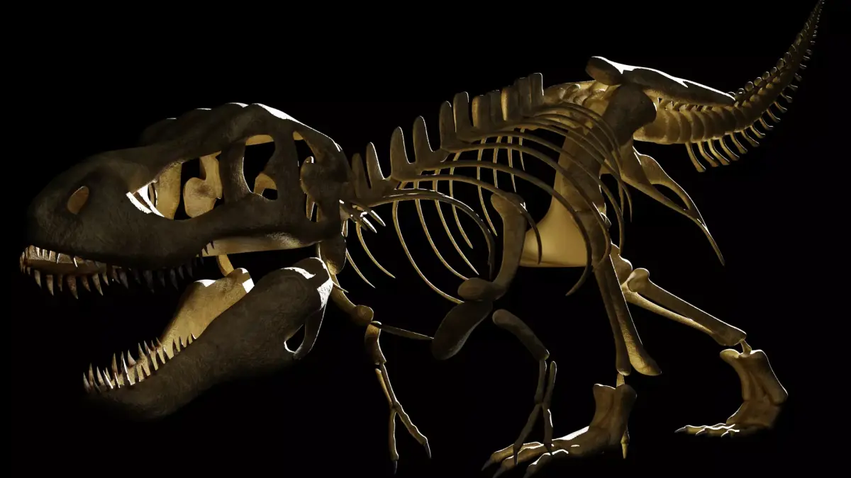 T-REX SKELETON Low-poly 3D model