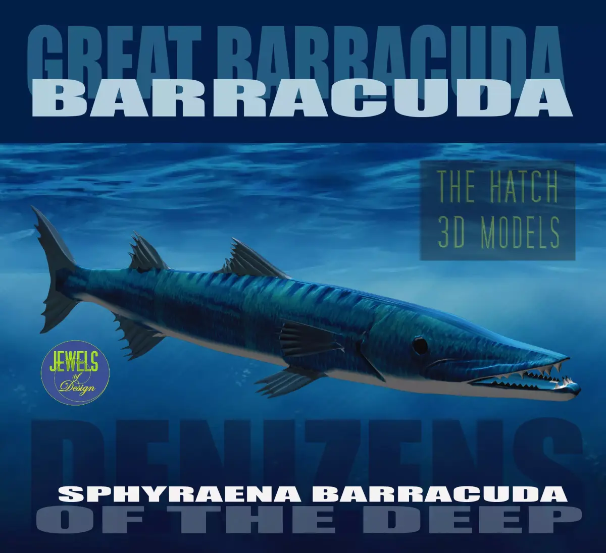 Barracuda fish with long fins 3D model