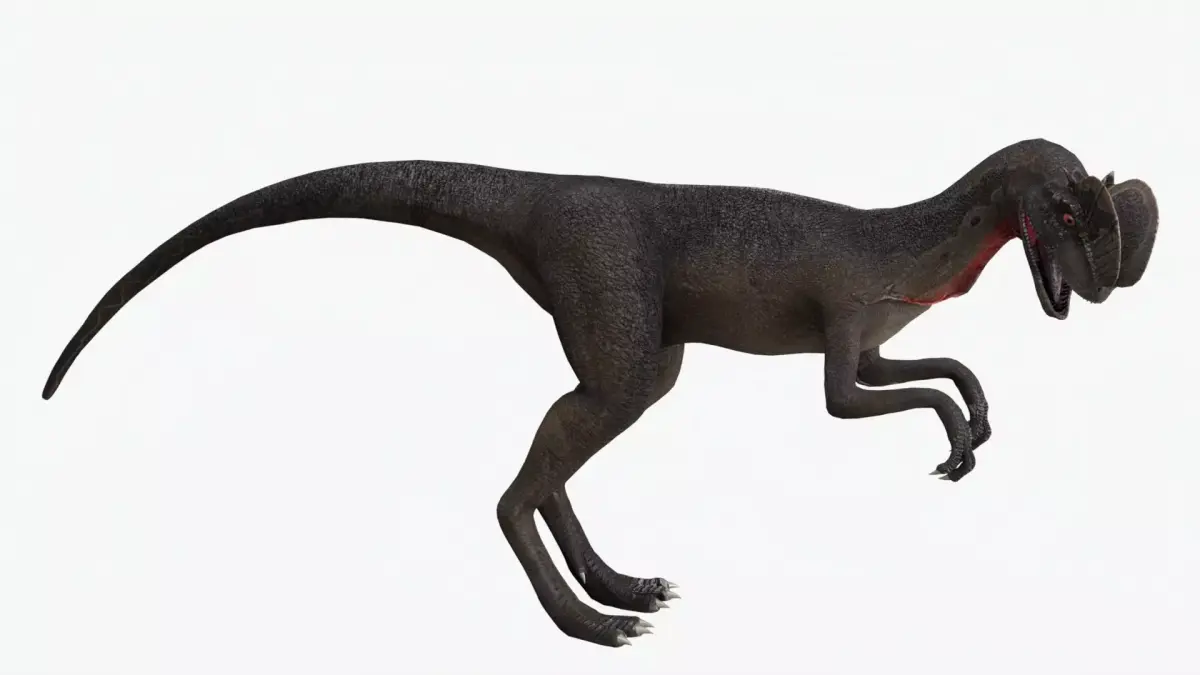 Basic Rigged Dilophosaurus With 4K Textures Low-poly 3D model