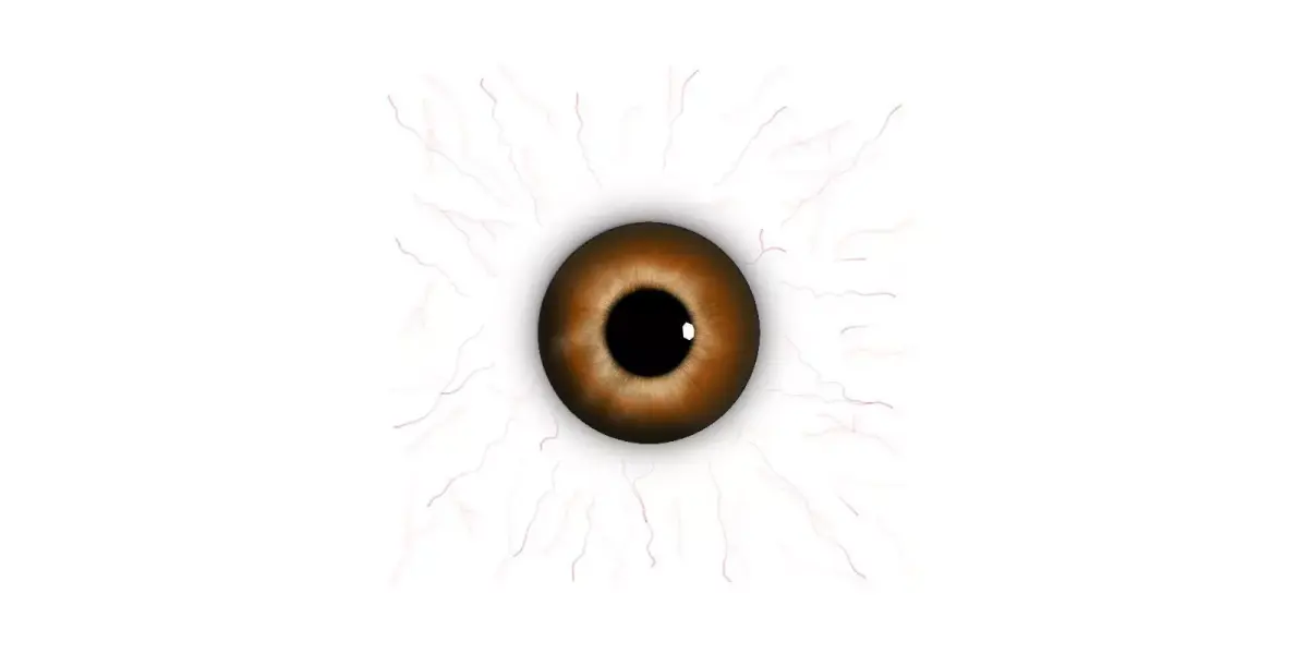 Eye Model Free low-poly 3D model
