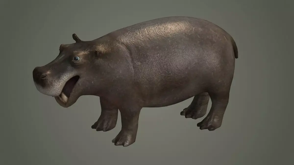 hippopotamus african animal mammal wild hipopotamo 3D model