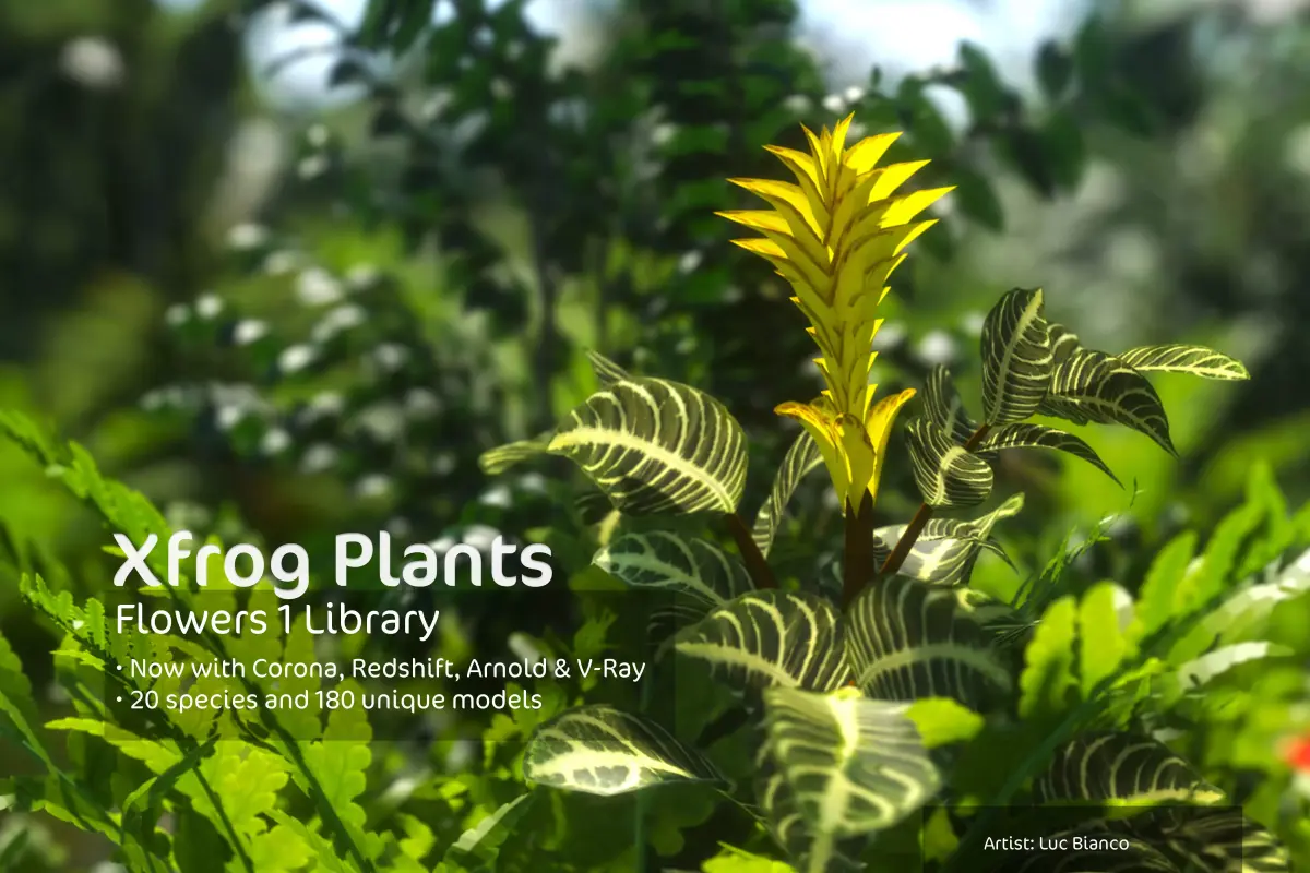 2020 XfrogPlants Flowers 1 Library  3D model