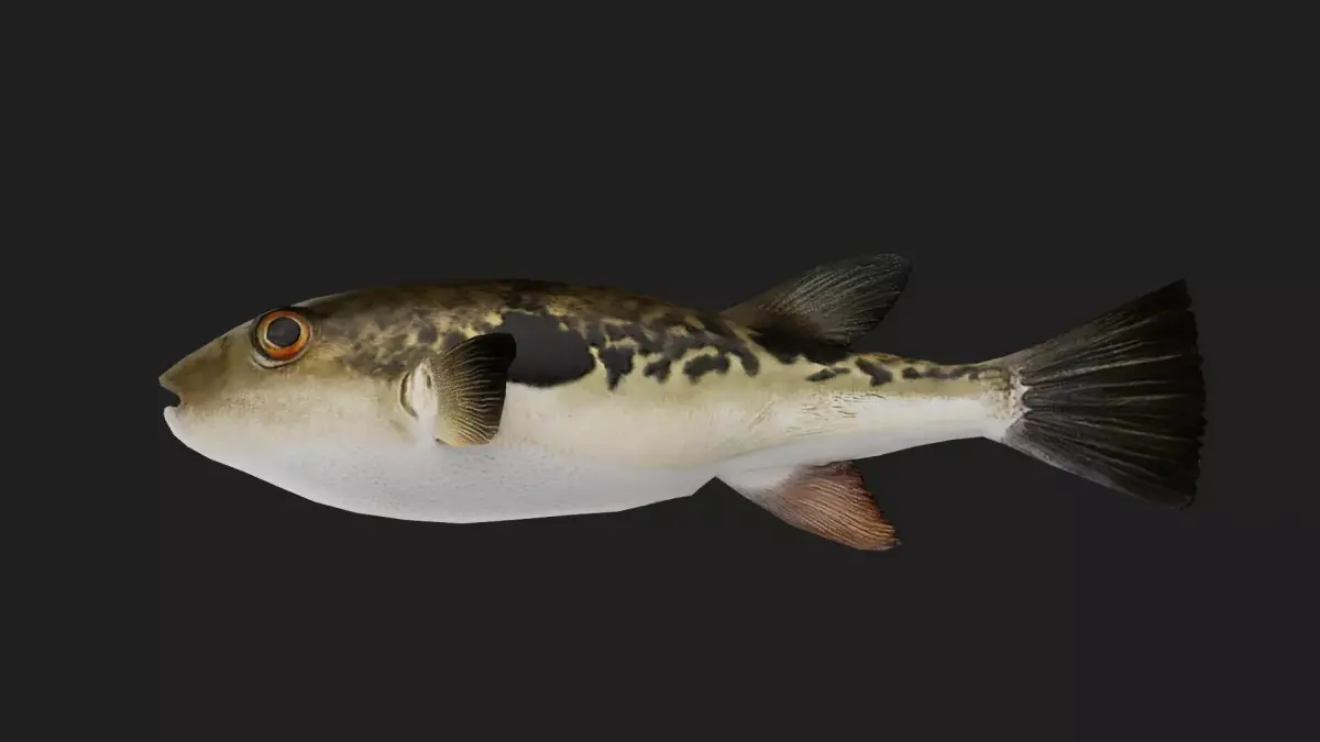 Filefish Low-poly 3D model shop