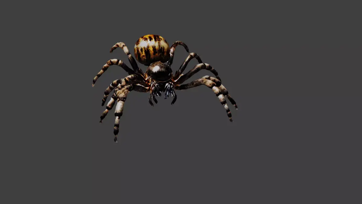 Spider Low-poly 3D model purchase