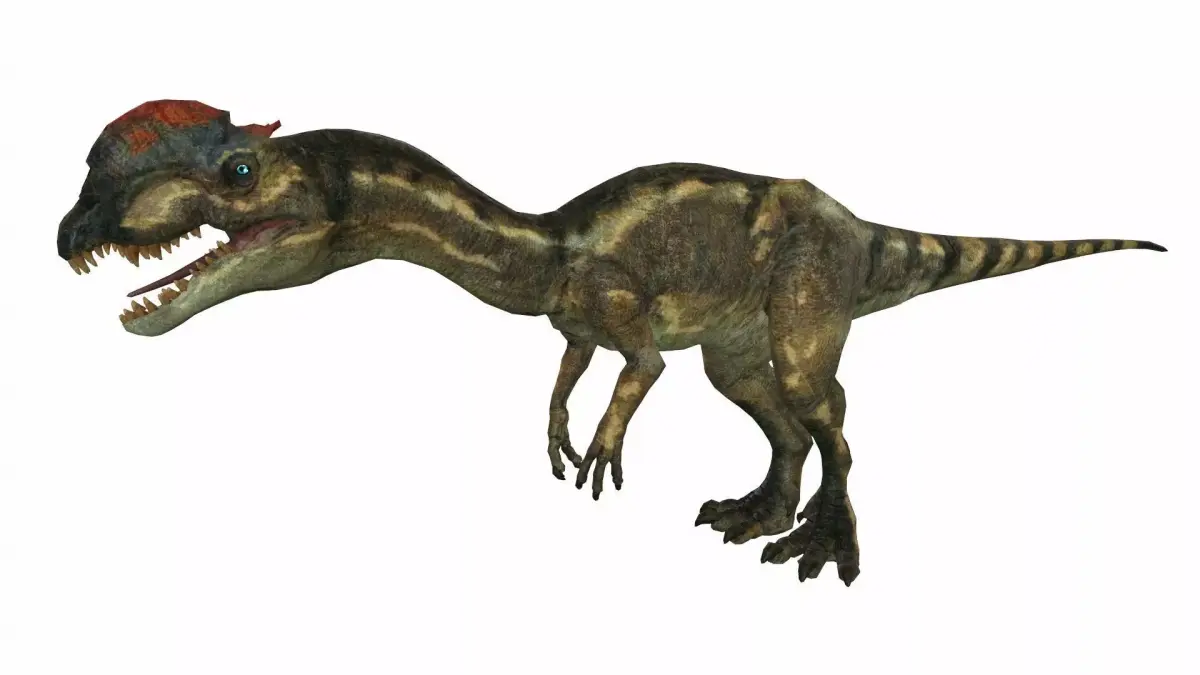 Dilophosaurus Low-poly 3D model