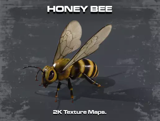Honey Bee Low-poly 3D model shop