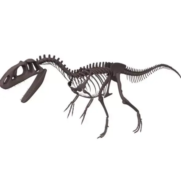 Allosaurus Skeleton 3D model