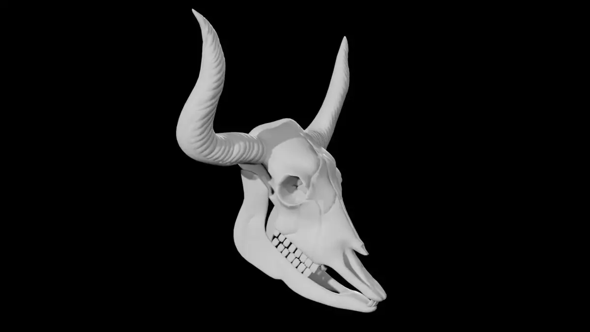 Bull Skull Low-poly 3D model purchase