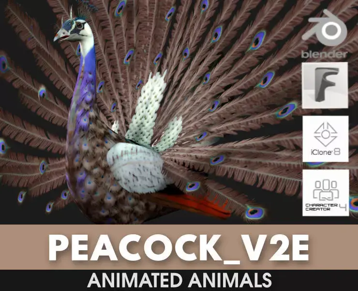 Peacock V2E 3D model