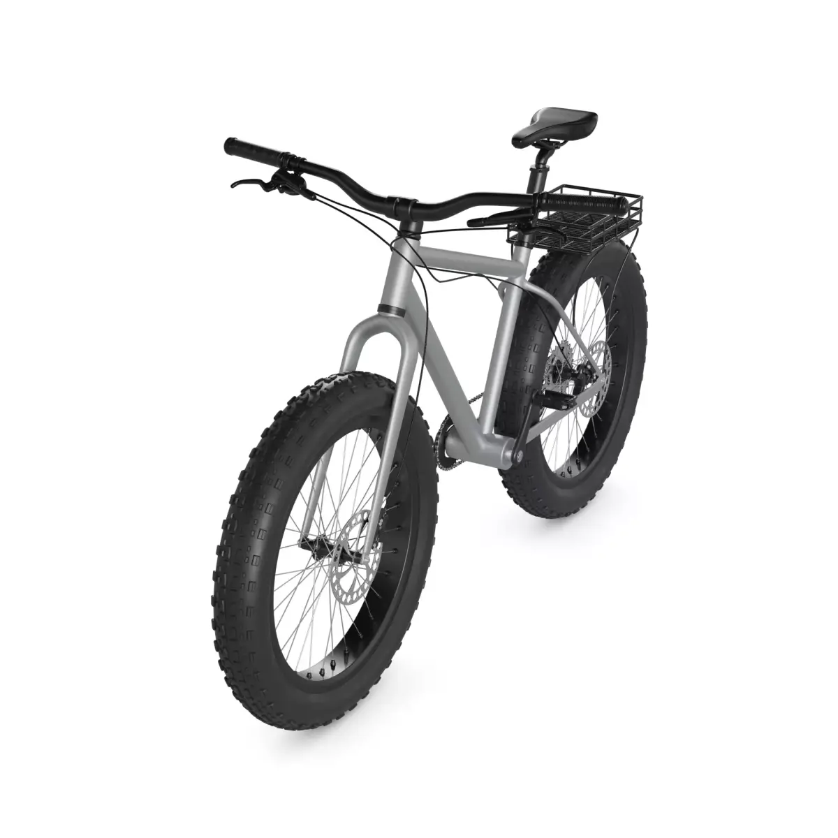 Fat Bicycle 3D model order