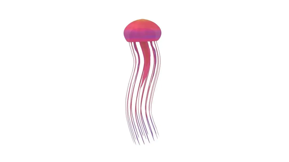 Jellyfish 3D model shop