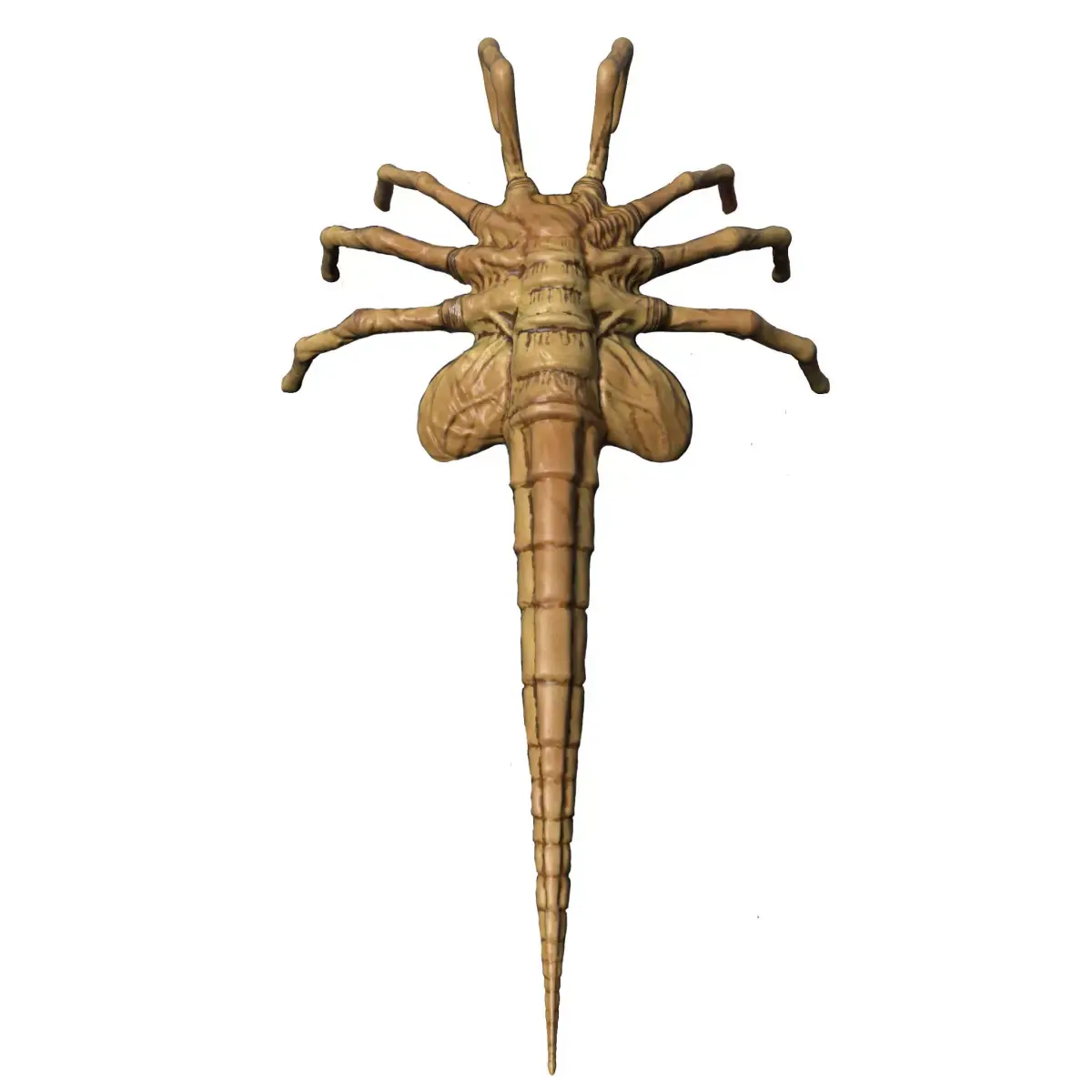 Facehugger 3D model