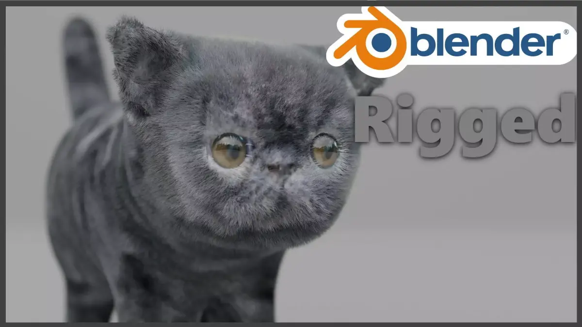 Exotic Shorthair Free 3D model