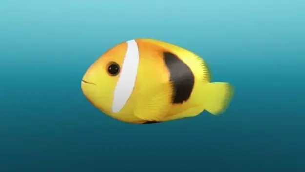 Tropical Fish 3D model