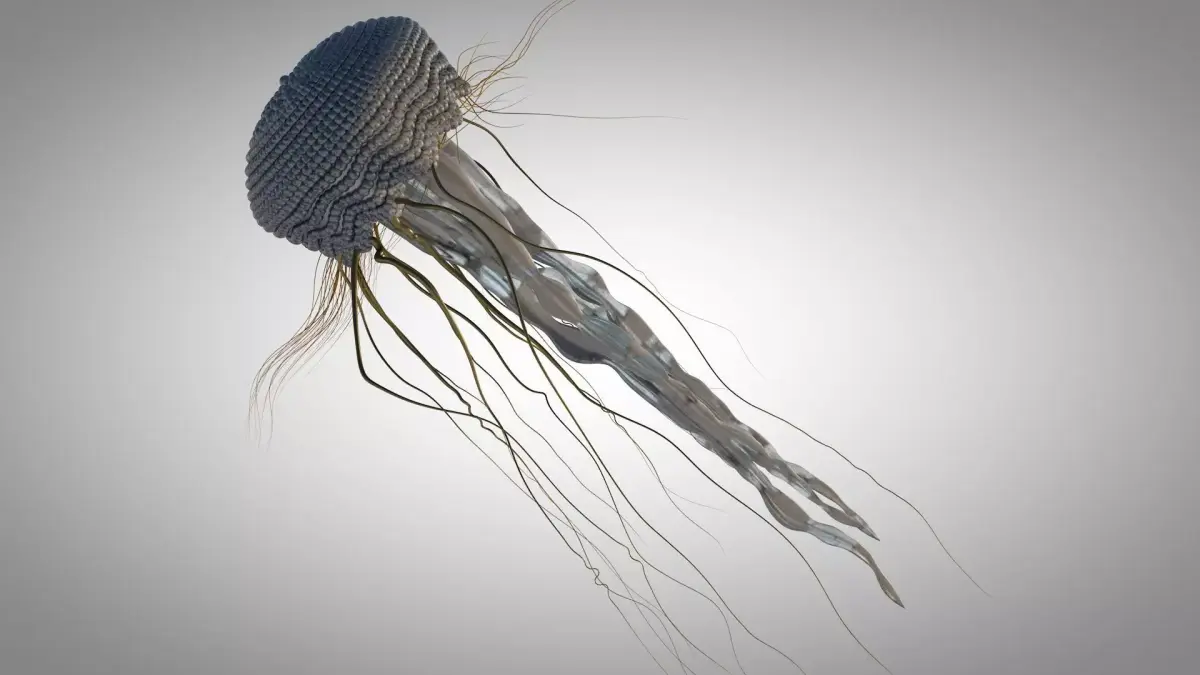 Jelly Fish Mechanical  3D model