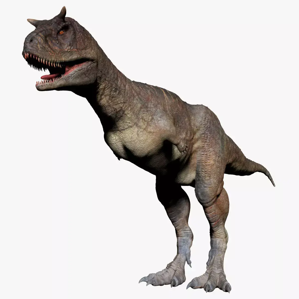 Dinosaur Carnotaurus SCULPT Project 3D model