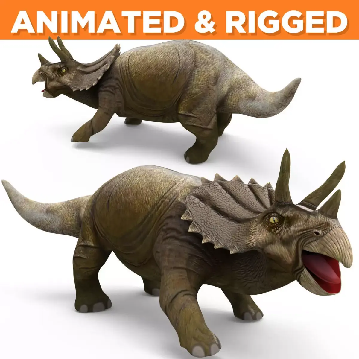 Realistic Triceratops Rigged  Animated 3D Model Low-poly 3D model