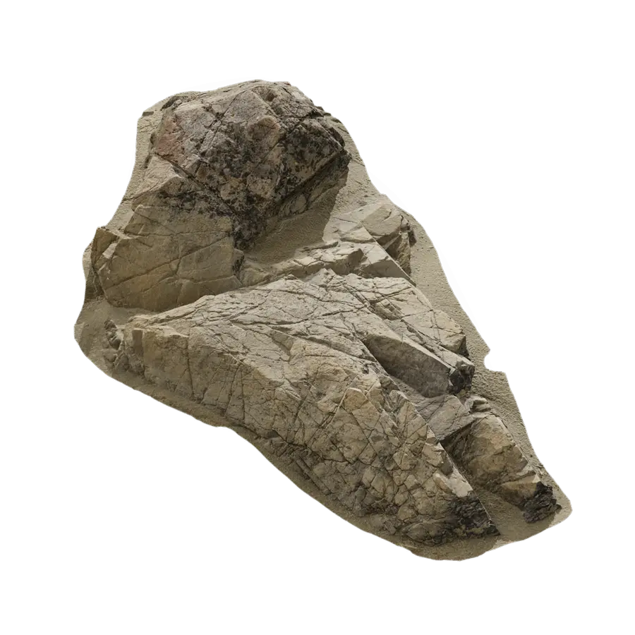  Small Wave Beach Rock Model  purchase