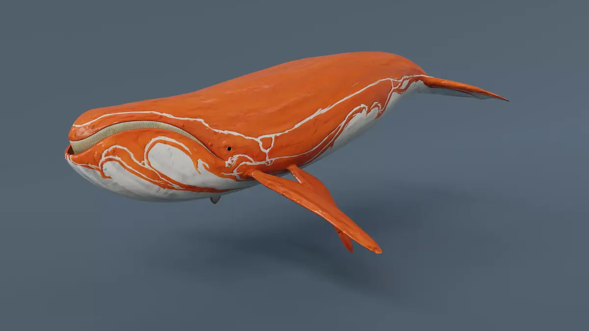 Fantasy Whale Low-poly 3D model buy