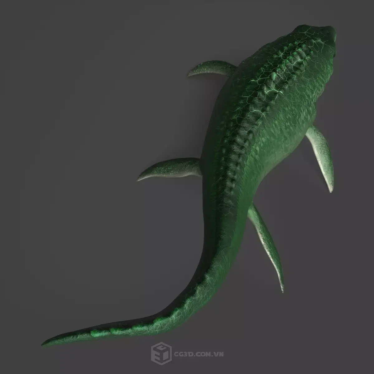 Dinosaur - Mosasaurus 3D model