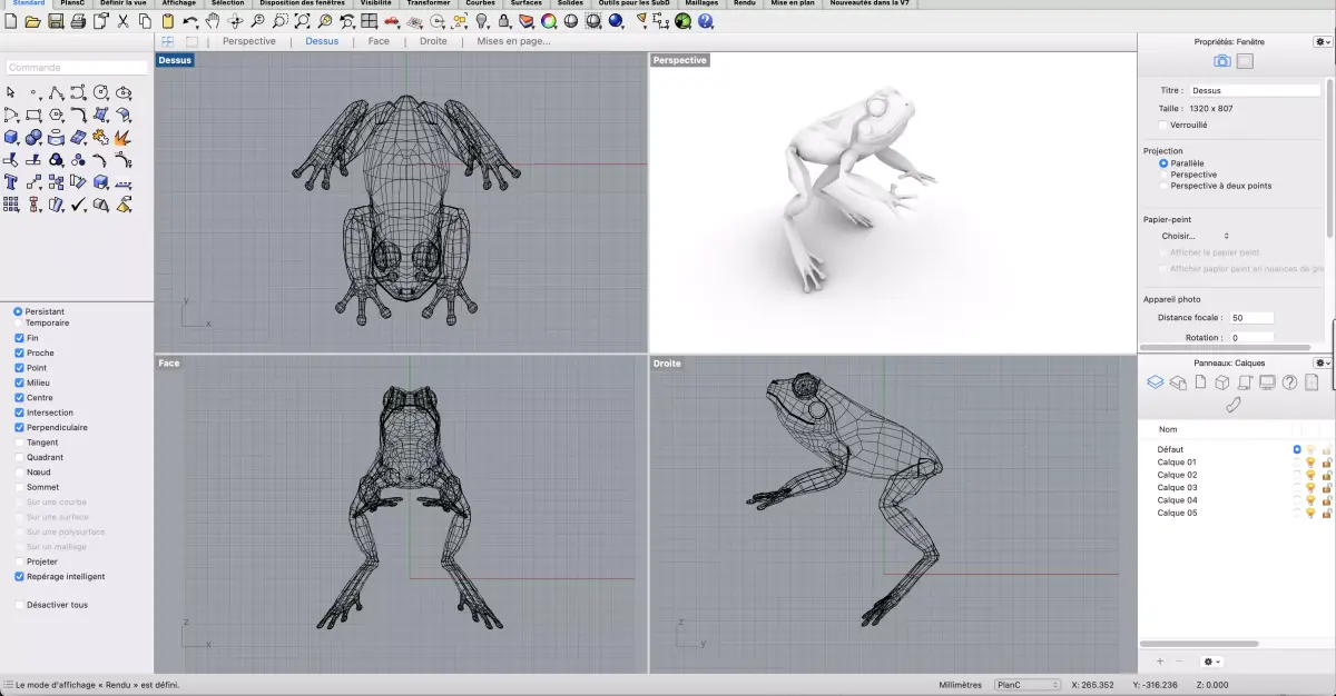 Frog Grenouille Crapaud 3D model