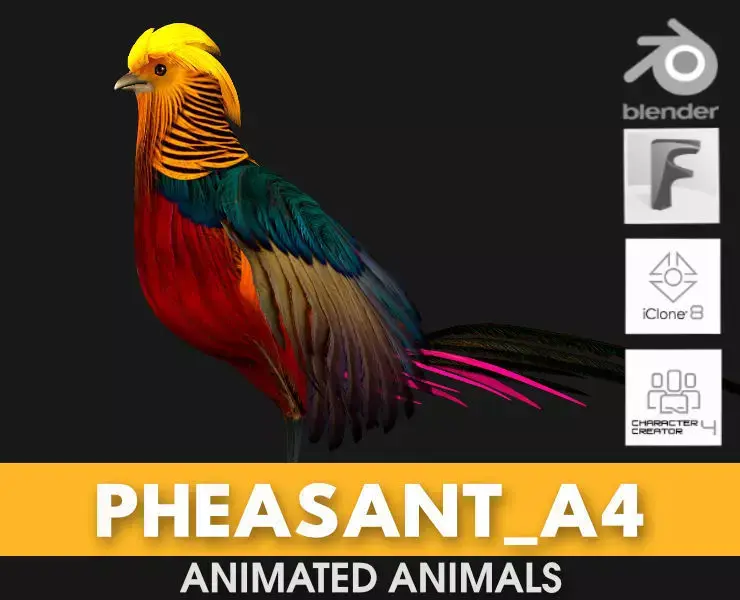 Pheasant A4 3D model