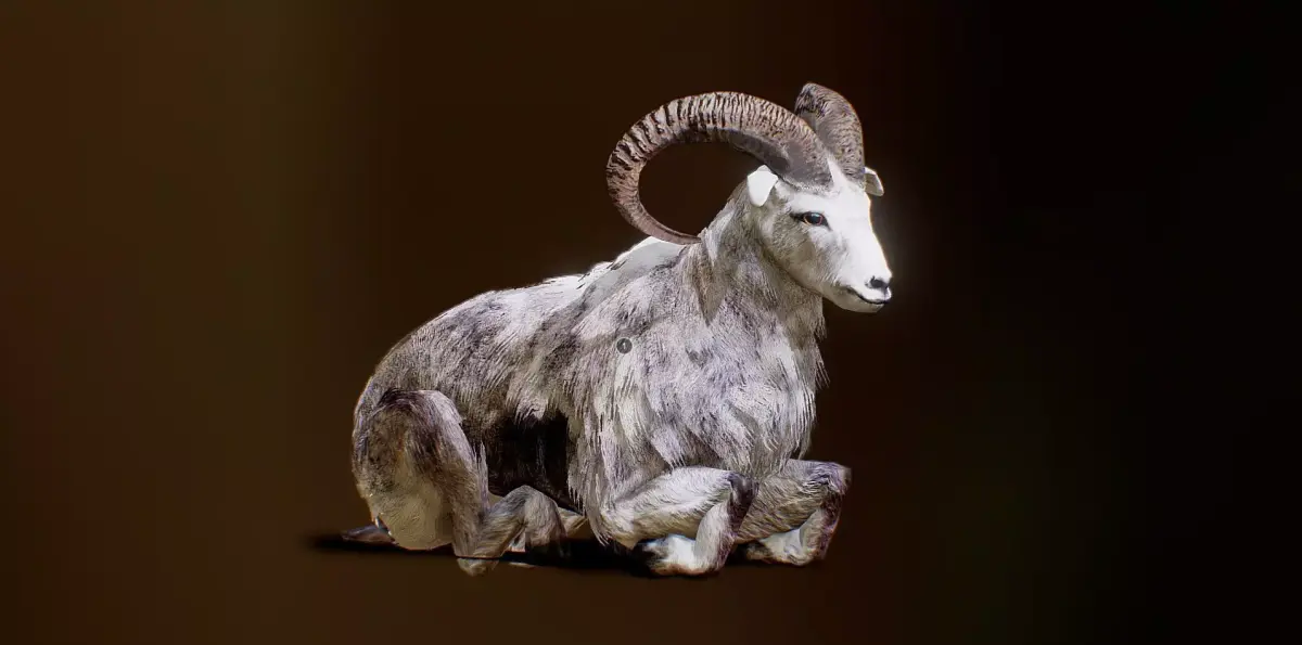 Ovis animated Low-poly 3D model