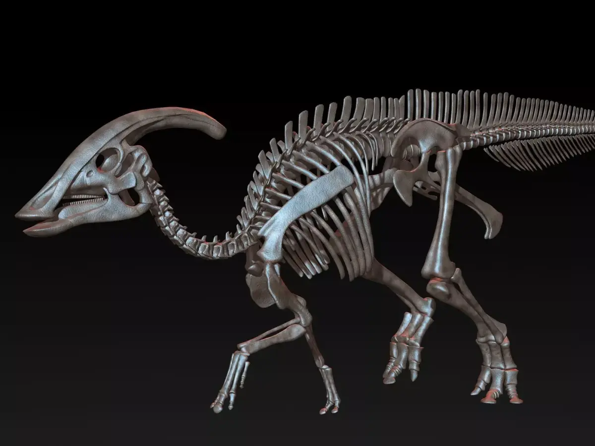 Parasaurolophus skeleton Low-poly 3D model purchase