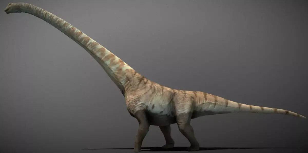 Mamenchisaurus  Low-poly 3D model