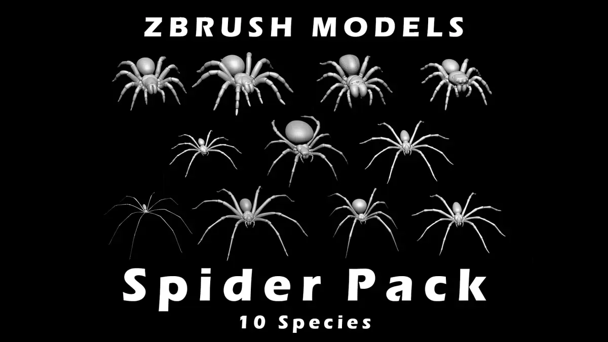 Spider Pack 3D model