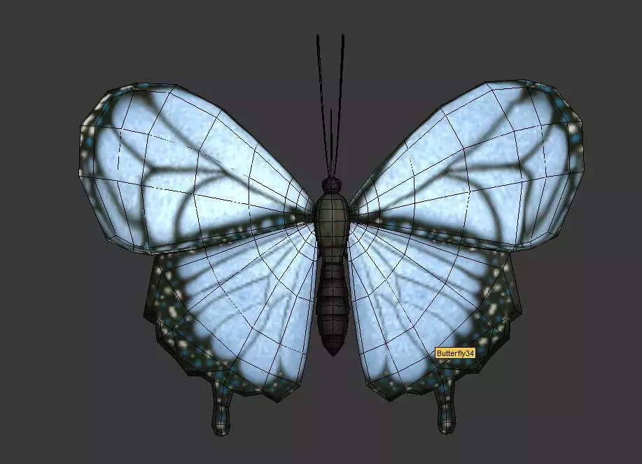 Butterfly 3D model 3D model
