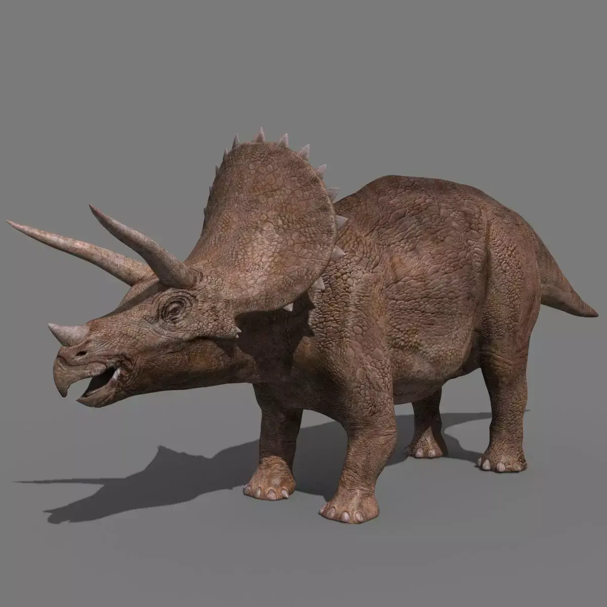 Triceratops Tribute - 8K 3D model