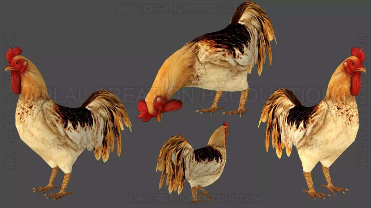 Rooster Animated Low-poly 3D model