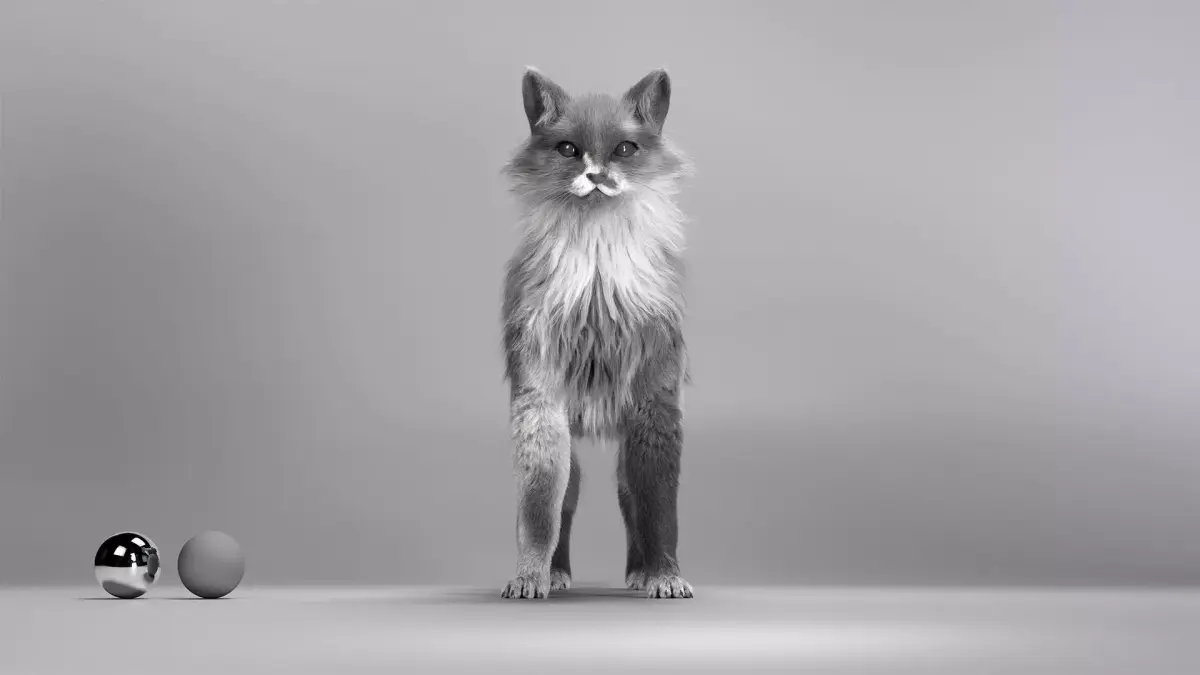 Base Mesh Cat 3D model purchase