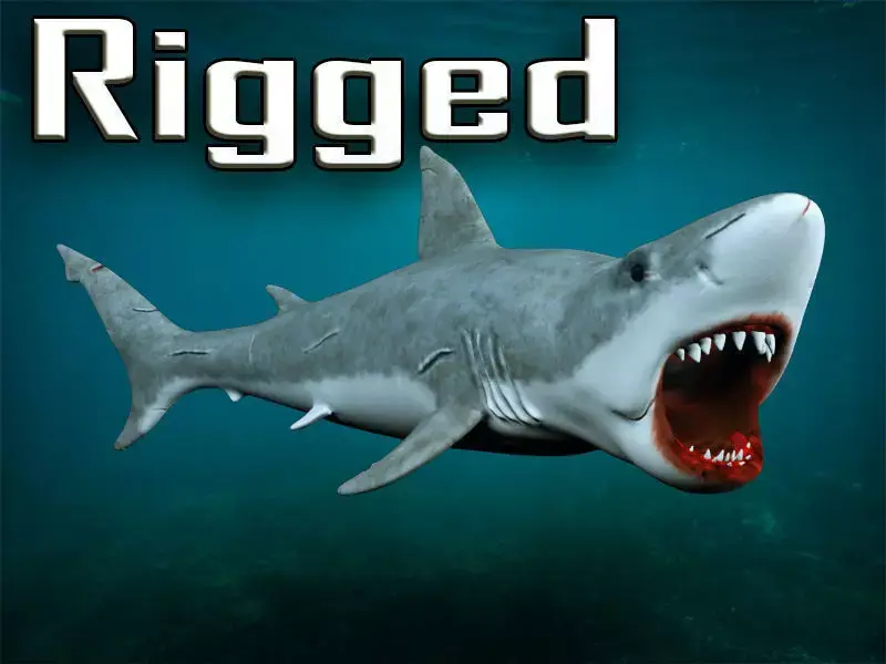 Great white shark  Low-poly 3D model