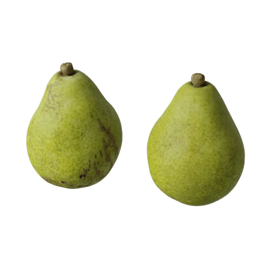 Pear Fruit Food Model  purchase