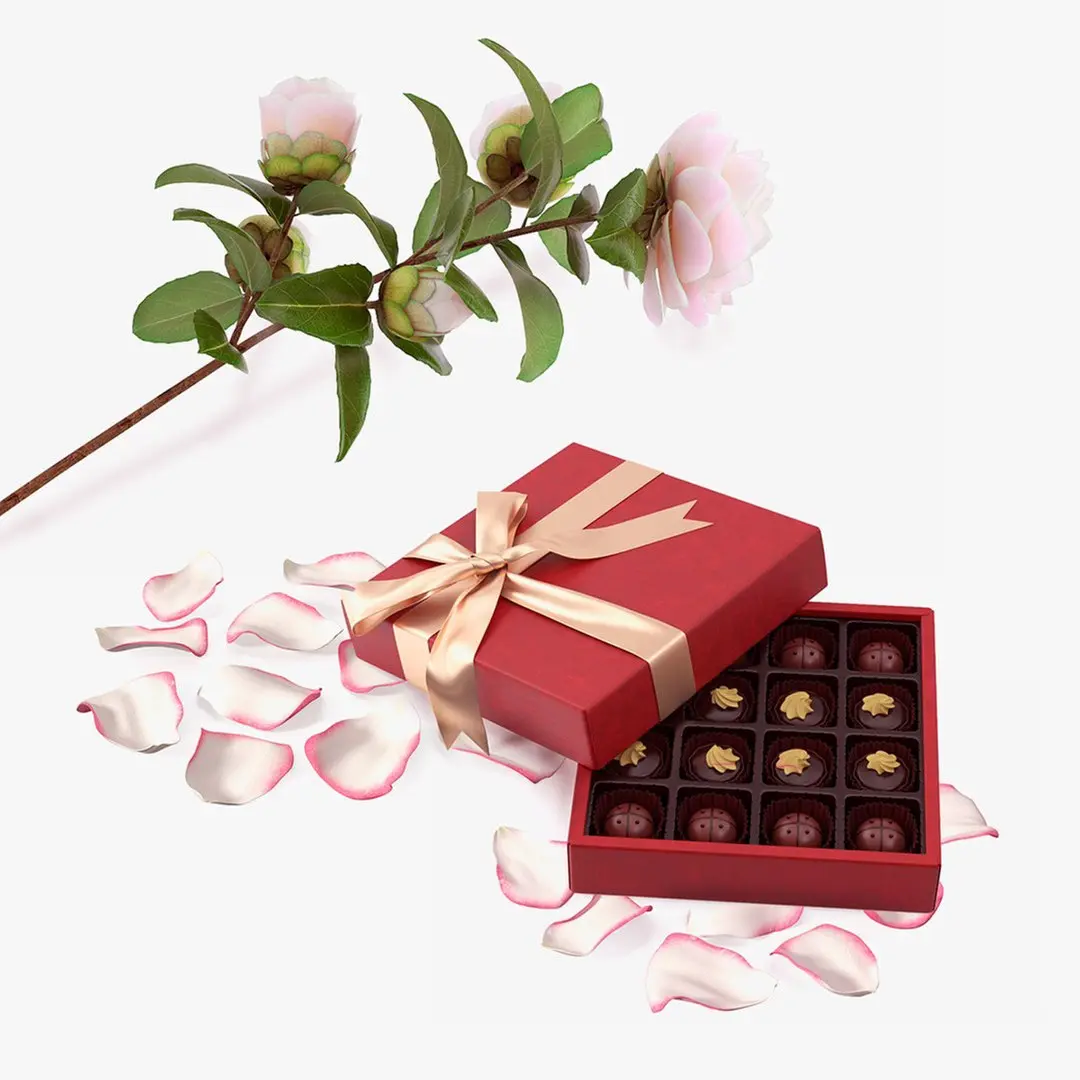Camellia Flower with Chocolate Box Collection 3D model