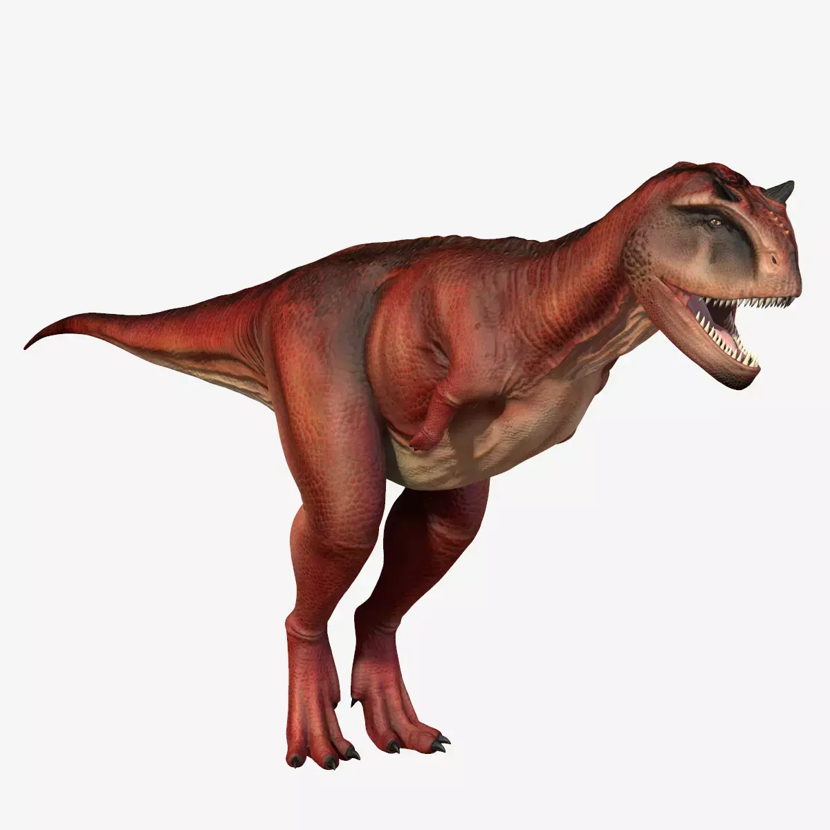Carnotaurus dinosaur Low-poly 3D model buy