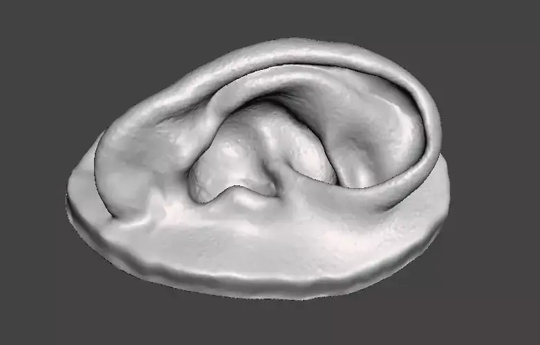 Real human ear anatomy 3D print model