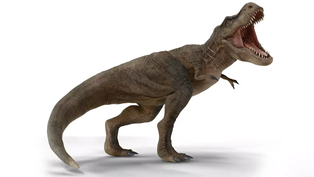Tyrannosaurus 3D model