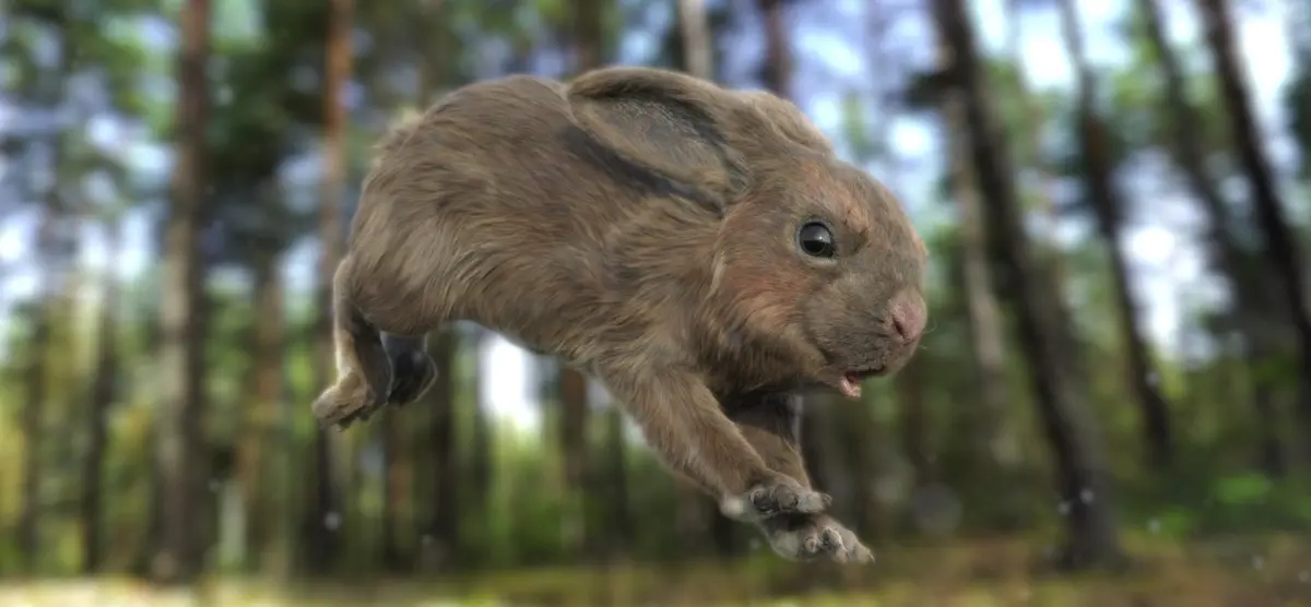 rabbit FURRIGGED 3D model