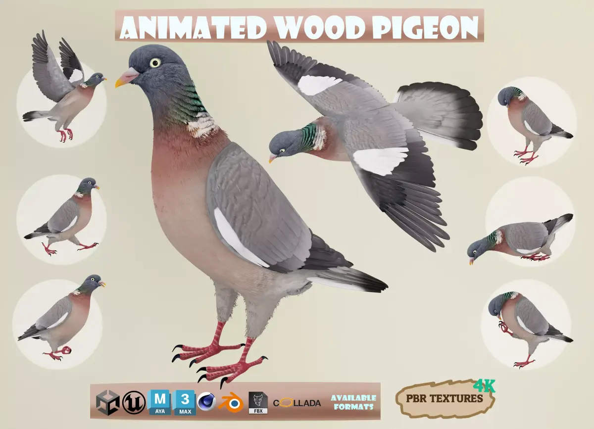 Realistic Animated Wood Pigeon Low-poly 3D model