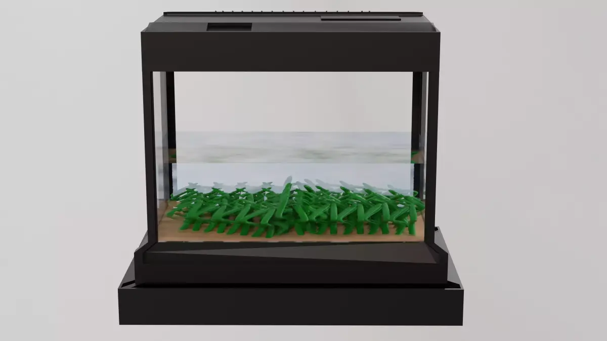 Fish tank 3D model order