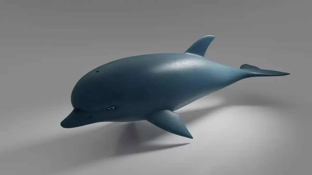Dolphin 3D model 3