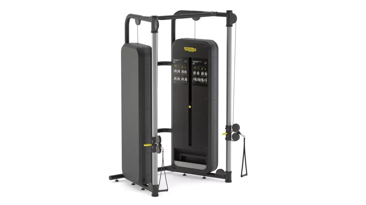 Technogym Dual Adjustable Pulley Fitness 3D model